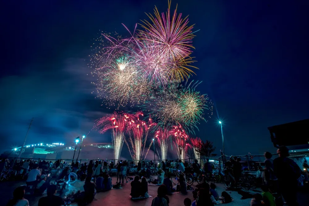 過去大会における花火の写真