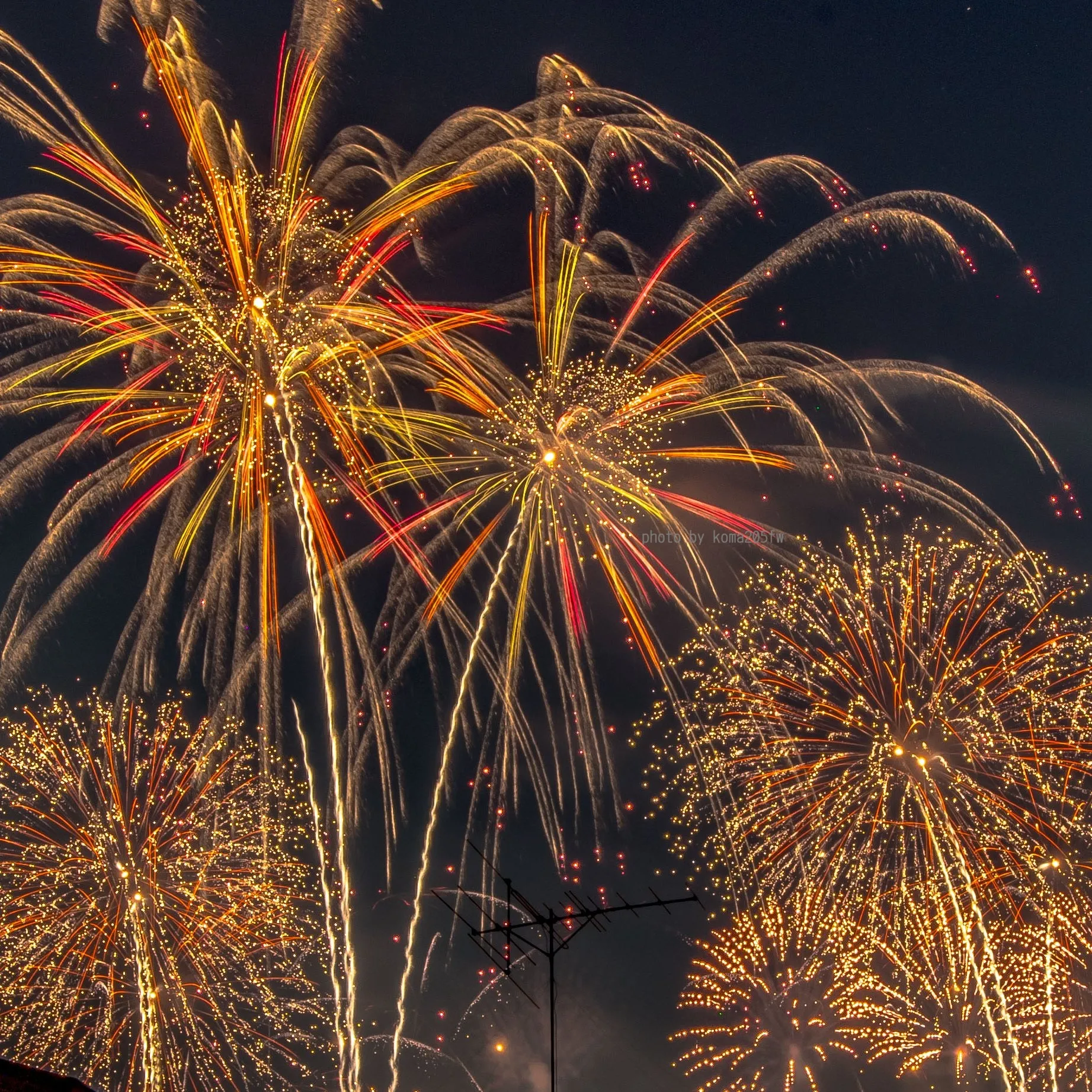 綾錦花火