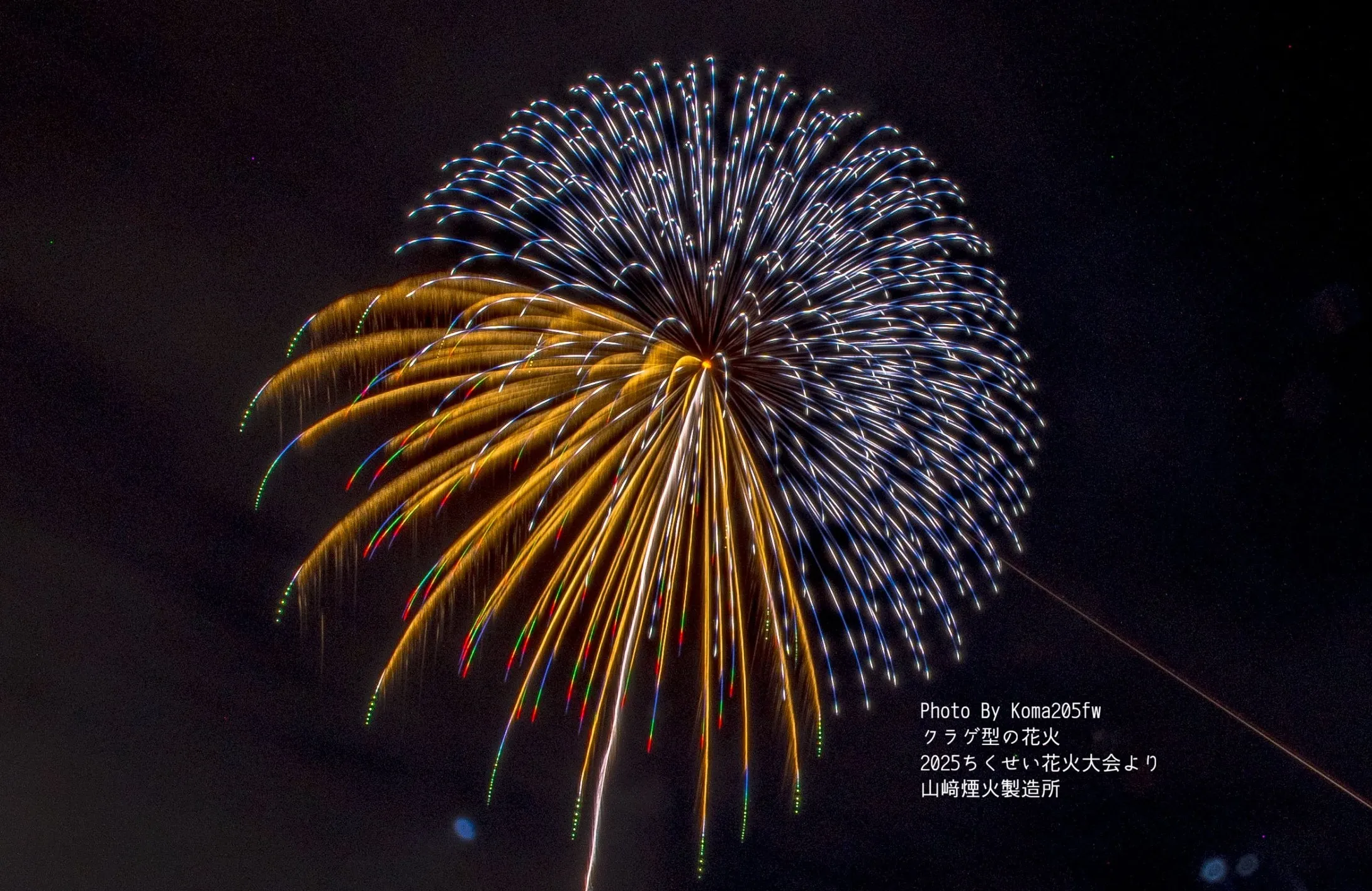 過去大会における山崎煙火製造所による花火玉の画像