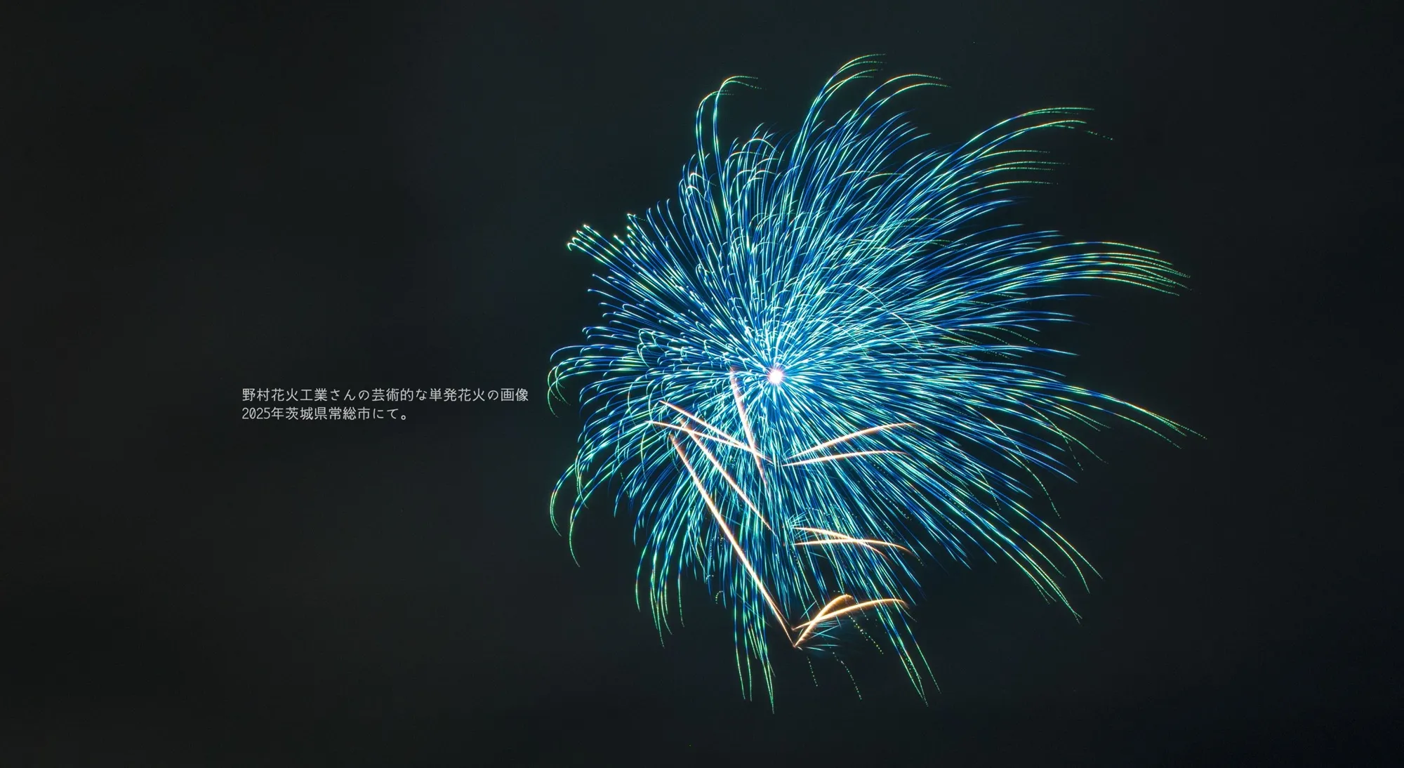 野村花火工業による芸術的な大玉花火