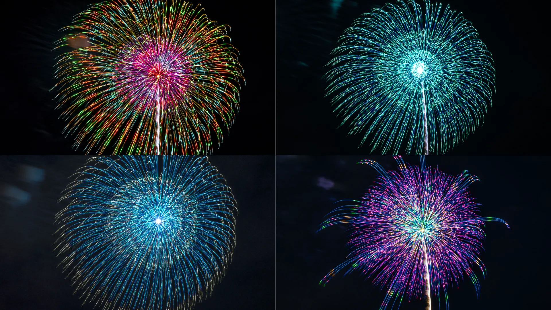 尺玉花火の画像