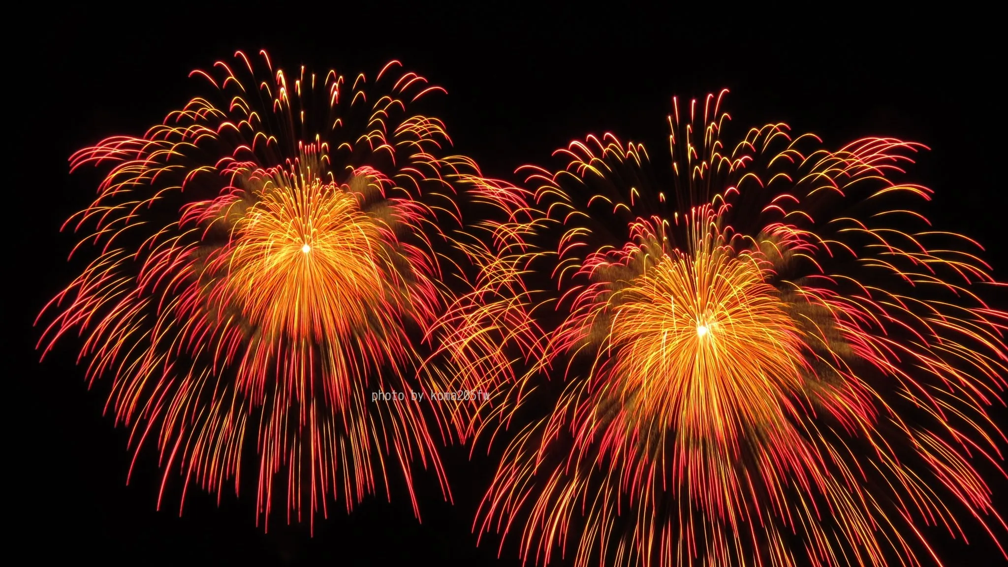 尺玉花火の画像