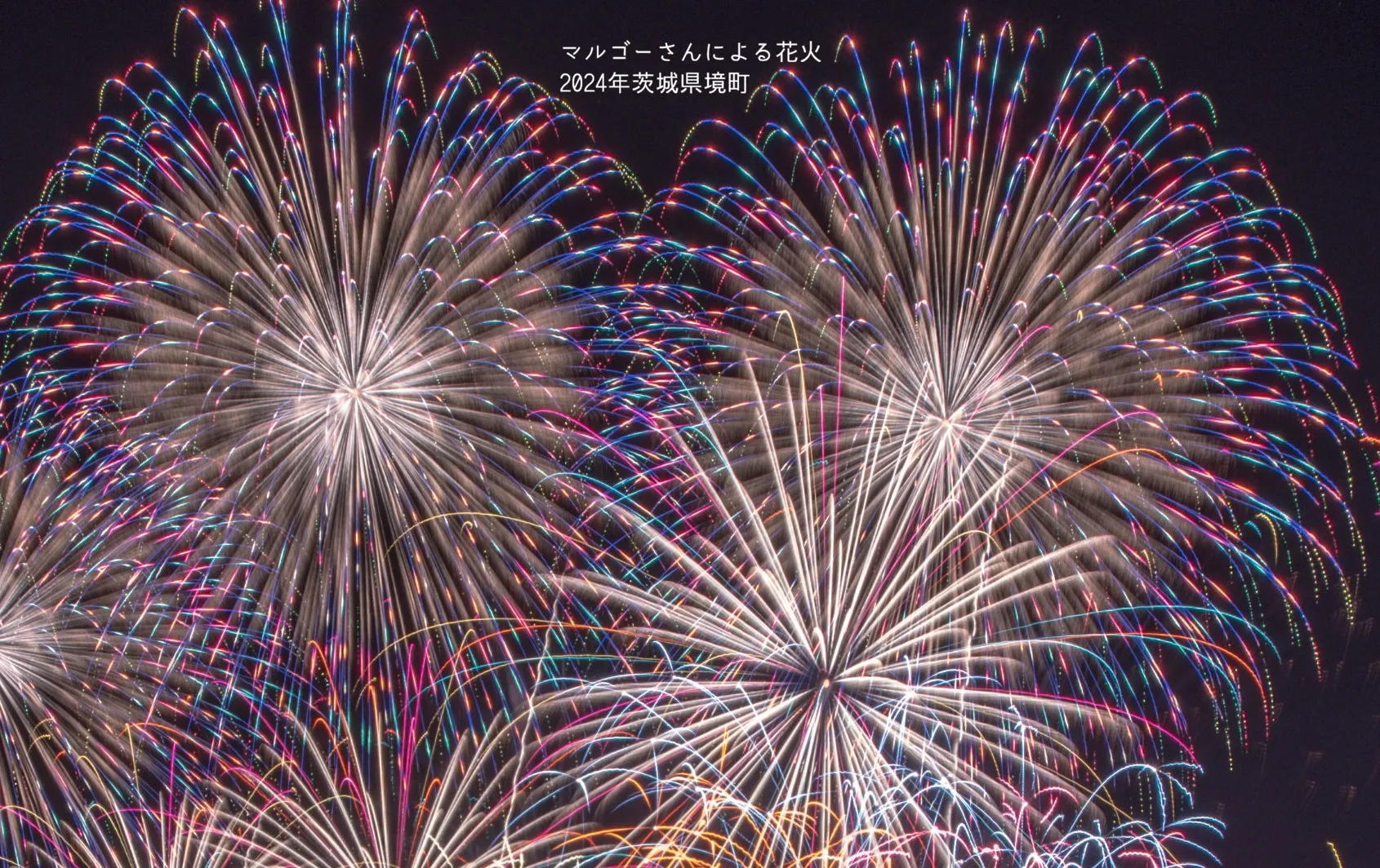 マルゴーさんの花火の画像
