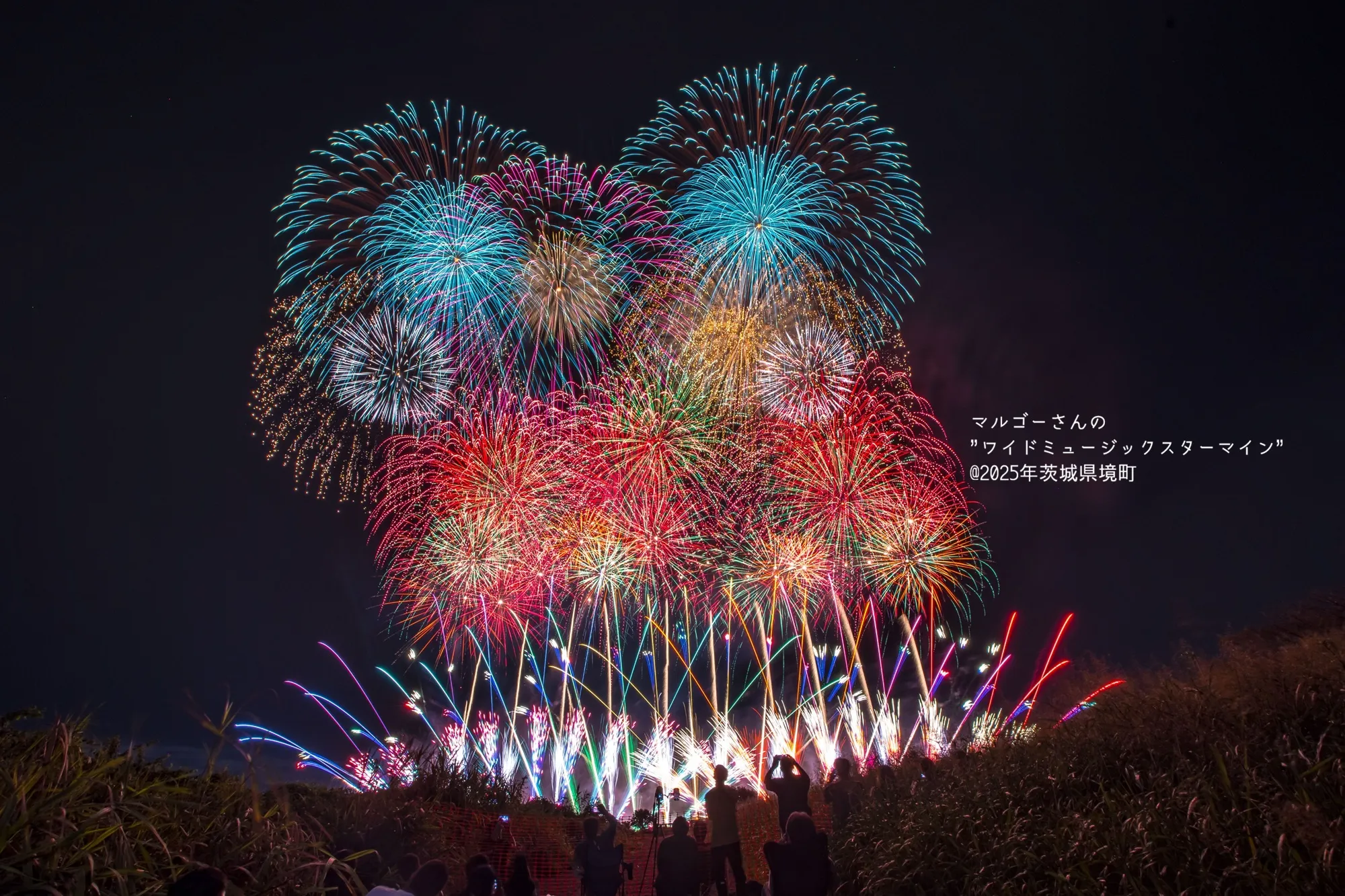 マルゴーさんのワイドスターマインの画像