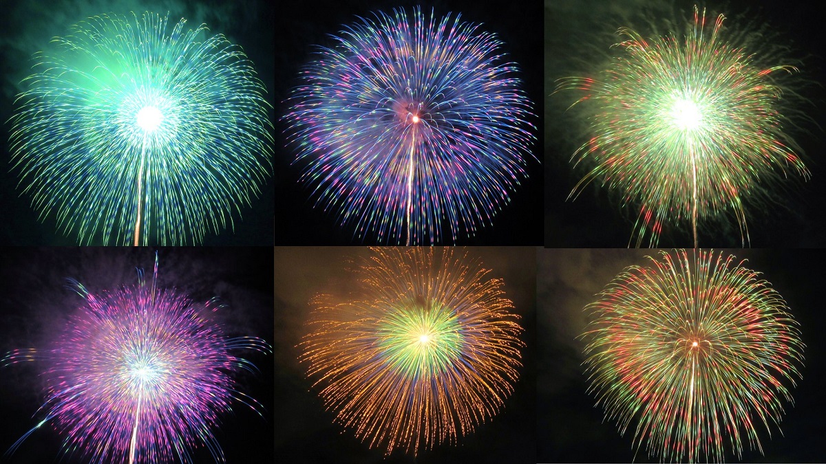 昨年の様子