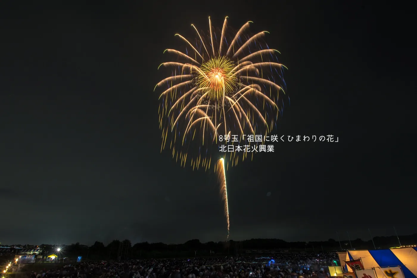昨年の様子